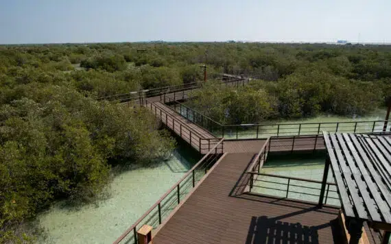JMP-Boardwalk-3-scaled-e1656928152921